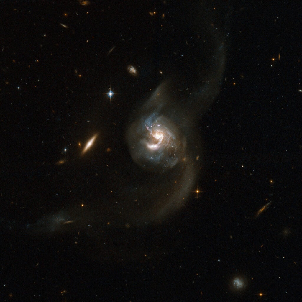NGC 6090 is a beautiful pair of spiral galaxies with an overlapping central region and two long tidal tails formed from material ripped out of the galaxies by gravitational interaction. The two visible cores are approximately 10,000 light-years apart, suggesting that the two galaxies are at an intermediate stage in the merging process. The Hubble image reveals bright knots of newborn stars in the region where the two galaxies overlap. The right hand component has a clear spiral structure if viewed face-on, while the other is seen edge-on with no spiral arms visible. NGC 6090 is located in the constellation of Draco, the Dragon, about 400 million light-years away from Earth. A number of fainter, and more distant, background galaxies is seen in the image. This system has much in common with the famous Antennae galaxies both in terms of how far the merger has progressed and in our viewing angle.