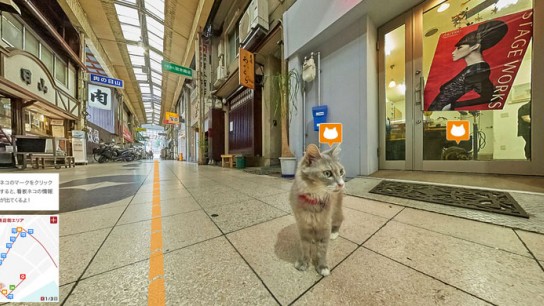 Japan Made The World’s First-Ever Cat Street View