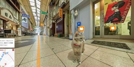 Japan Made The World’s First-Ever Cat Street View