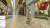 If you've ever wondered what a cat's point of view is like, you're in luck. <a href="https://www.popsci.com/japan-made-worlds-first-ever-cat-street-view/">A new project</a> by Japan's Hiroshima prefecture allows you to explore the small town of Onomichi, Japan—which is heavily populated by cats. This image is a screenshot of the new project, which can be likened to Google Street View, but for cats.