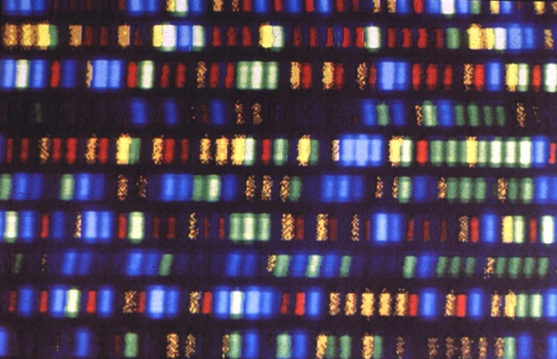 Your Full Genome Can Be Sequenced and Analyzed For Just $1,000