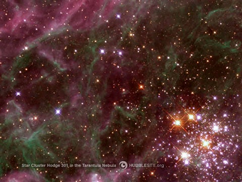In the Tarantula Nebula lies a bright cluster of brilliant, massive stars, Hodge 301. The cluster [lower right-hand corner] blasts material from supernovae into the surrounding nebula.