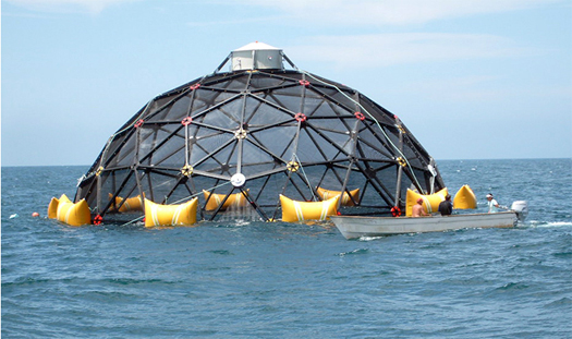 Giant Free-Roving Robotic Cages Could Be the Healthy Future of Fish Farming