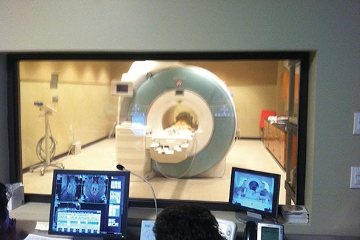 Dog in an MRI machine with computer screens in front