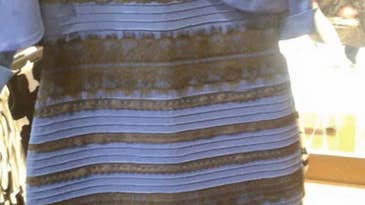 The Science Of Why No One Can Agree On The Color Of That Dress