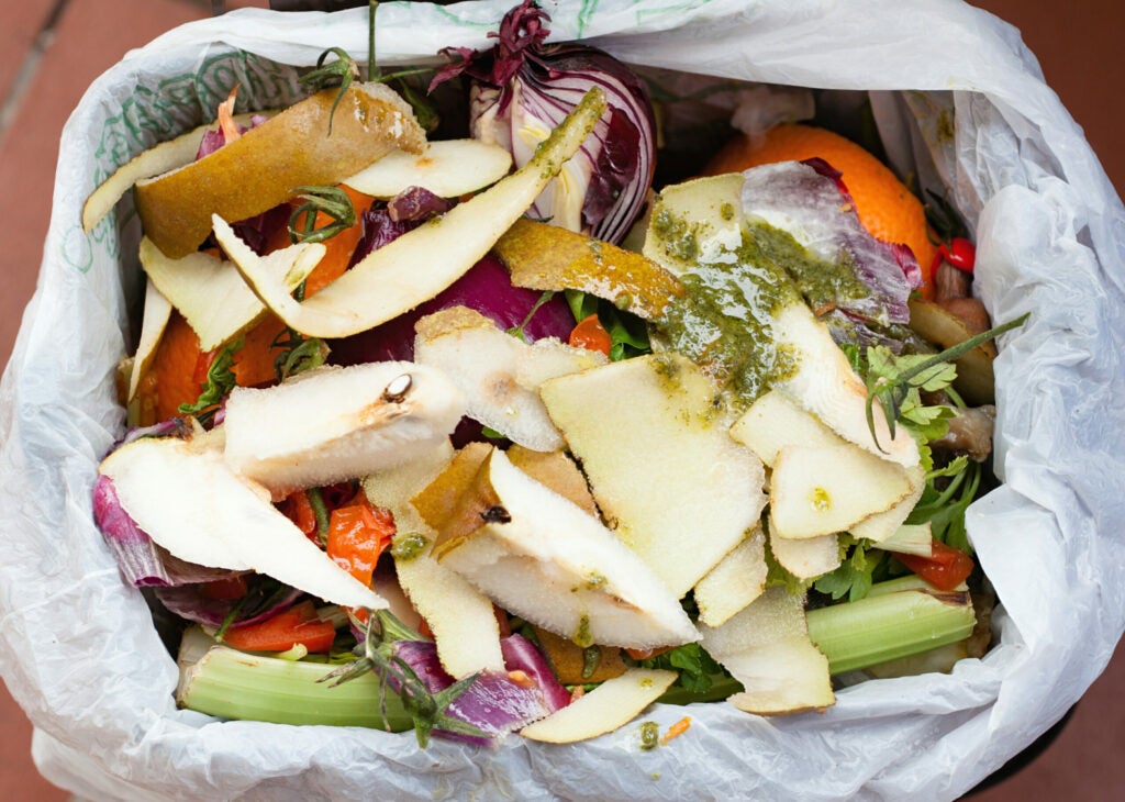 a trash can full of food scraps