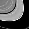 Saturn's Tiny Moon within Saturn's rings