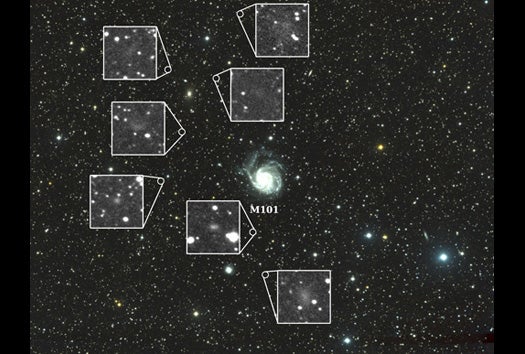 Seven newly discovered dwarf galaxies encircle the (previously known) spiral galaxy M101.