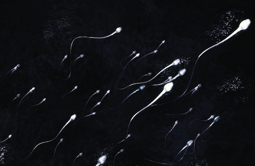The Psychology of Semen, Part Two: Your Questions Answered