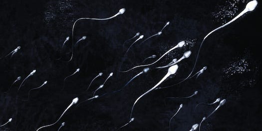 The Psychology of Semen, Part Two: Your Questions Answered