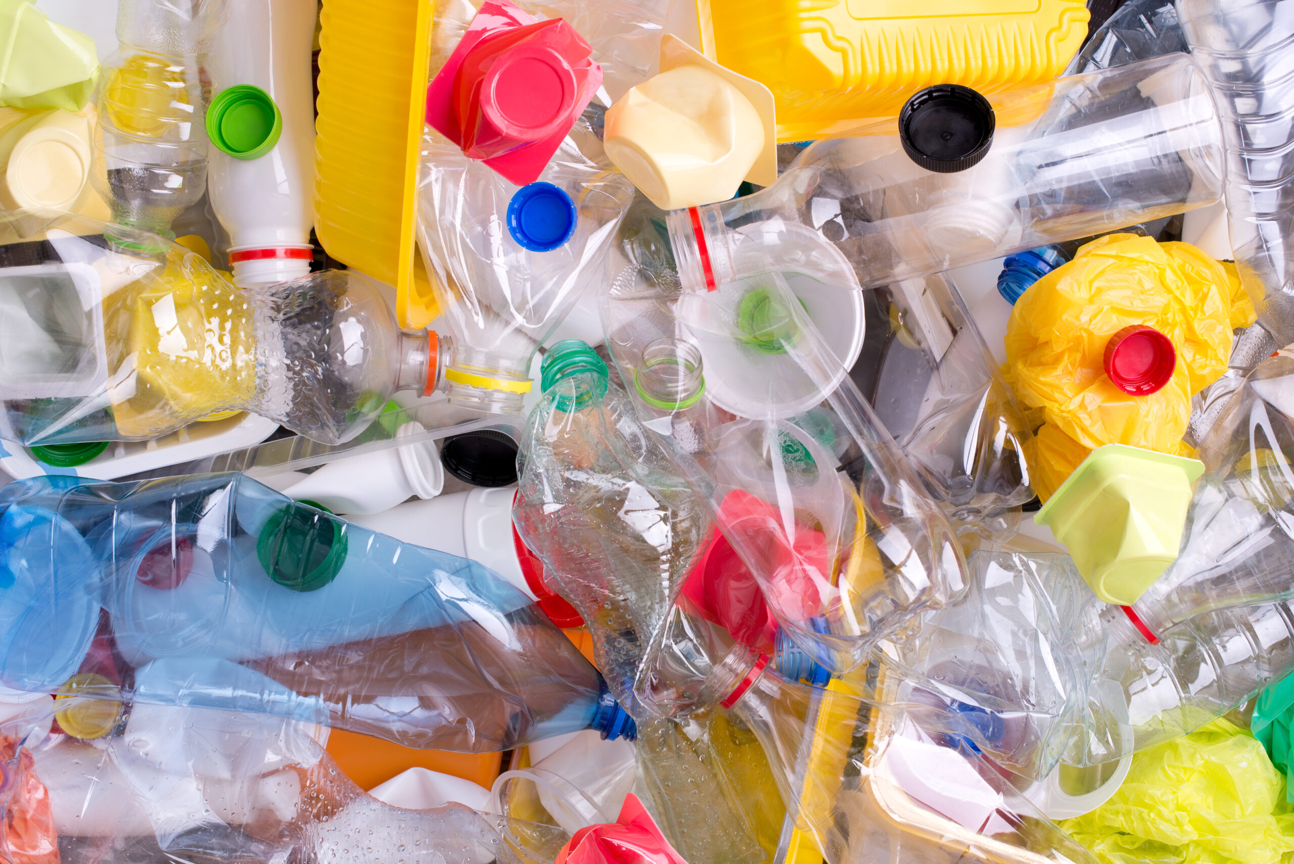 Scientists stumbled upon a plastic-eating bacterium—then accidentally made it stronger