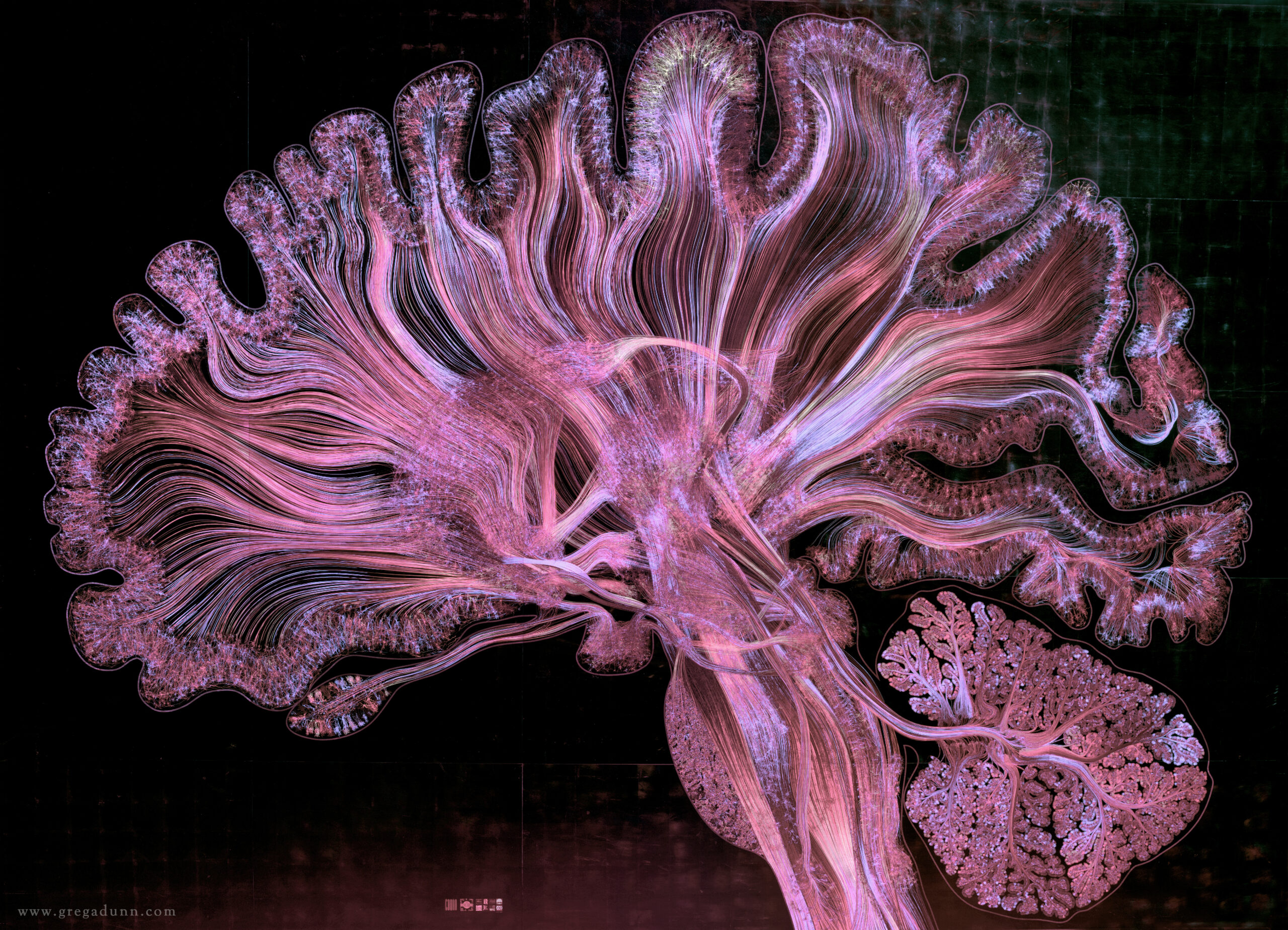 The 10 best science images, videos, and visualizations of the year