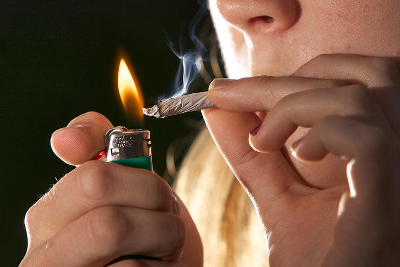 Survey Finds The Percent Of Americans Smoking Weed Has Doubled Since 2002