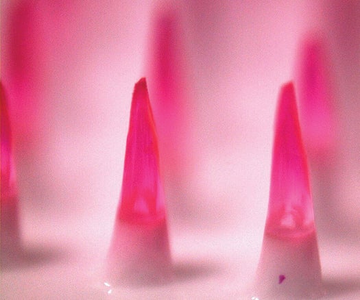 Dissolvable microneedles, each about two hundredths of an inch long, are almost painless.