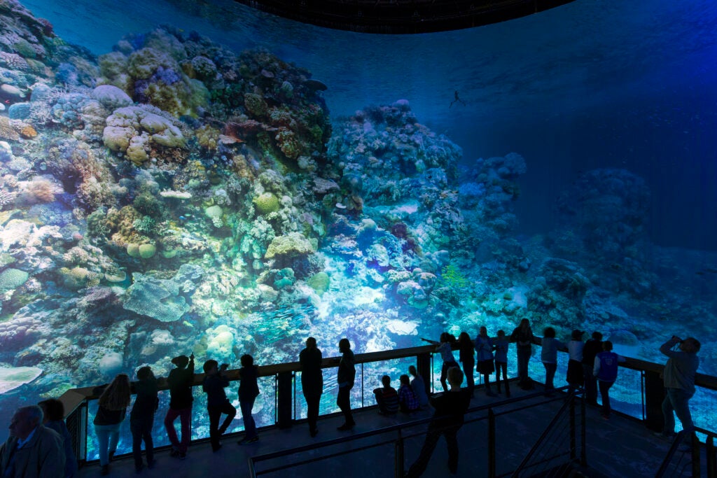 Uiterlijk Bij wet Moeras Explore The Great Barrier Reef Inside A Giant Gas Tank | Popular Science