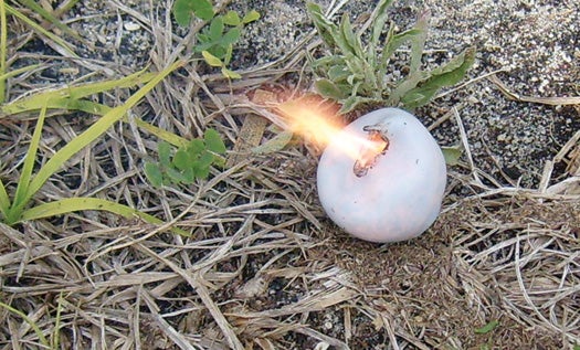Plastic ignition spheres burn for about two minutes and create an even fire pattern that is easier to control.