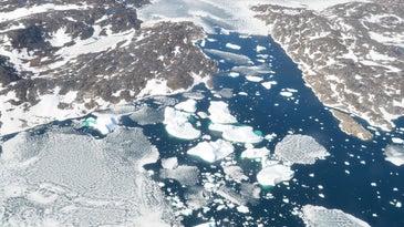 Saving Greenland could save the world