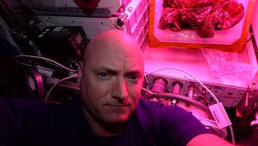 Selfie taken by Astronaut Scott Kelly with Space Station-Grown Lettuce