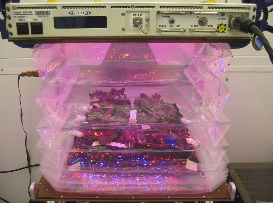 Big Pic: A Prettier Greenhouse For Growing Veggies In Space