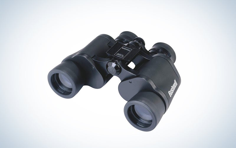 Bushnell Falcon binoculars