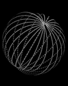 A Dyson sphere is just one possible configuration for an array of solar power collectors orbiting the sun. This depicts a Dyson swarm, consisting of rings of gigantic solar collectors orbiting at the same distance as the Earth.