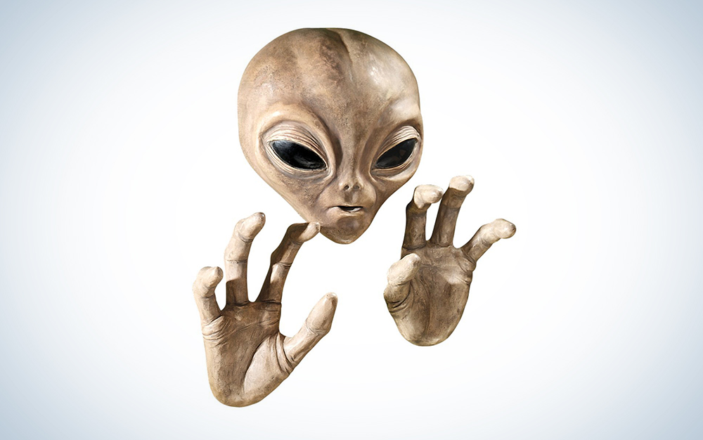 Sorry, but Anonymous has no evidence that NASA has found alien life