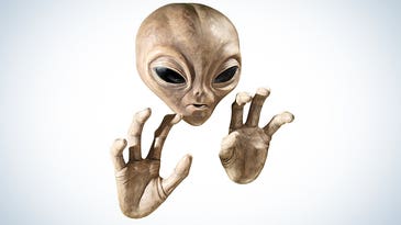 Sorry, but Anonymous has no evidence that NASA has found alien life