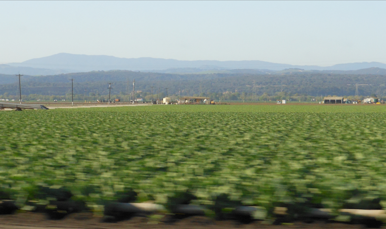 Will Silicon Valley Transform Farming?