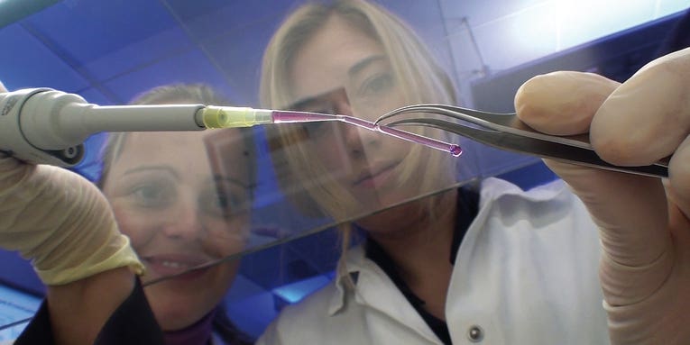 Germans Manufacture Artificial Blood Vessels With a 3-D Printer