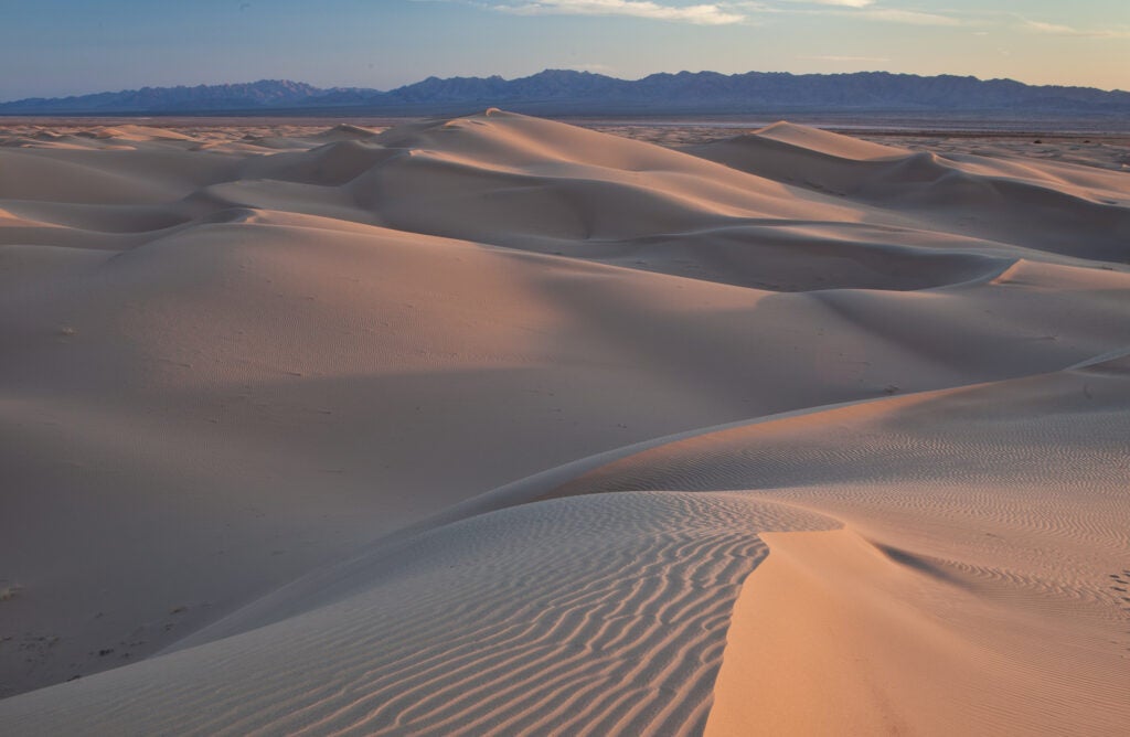 The Mojave Trails National Monument is the largest of the three new protected lands. It's about 1.6 million acres of mountains, lava flows, and of course sand dunes. The dunes you see in this photo were created by north winds blowing the sand from the Cadiz Dry Lake.