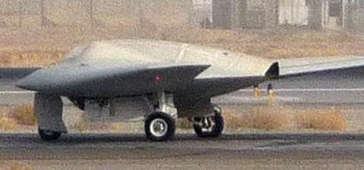 <strong>Class:</strong> Stealth<br />
<strong>Habitat:</strong> Migrating from its suspected home base at Kandahar Airfield, Afghanistan, this top-secret military spy drone makes classified sorties into enemy terrain.<br />
<strong>Behavior:</strong> An offspring of Lockheed Martin's Skunk Works program, the RQ-170 Sentinel flies via satellite link from a base in Tonopah, Nevada, but little else is know about it. In unofficial photographs, it closely resembles a 1945 Luftwaffe design called the Horten Ho 229.<br />
<strong>Notable Feature:</strong> Sensor pods built into the edge of its wings probably give it surveillance capabilities, and the absence of a wing-mounted weapons payload likely keeps it light and off the radar.