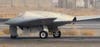 <strong>Class:</strong> Stealth<br />
<strong>Habitat:</strong> Migrating from its suspected home base at Kandahar Airfield, Afghanistan, this top-secret military spy drone makes classified sorties into enemy terrain.<br />
<strong>Behavior:</strong> An offspring of Lockheed Martin's Skunk Works program, the RQ-170 Sentinel flies via satellite link from a base in Tonopah, Nevada, but little else is know about it. In unofficial photographs, it closely resembles a 1945 Luftwaffe design called the Horten Ho 229.<br />
<strong>Notable Feature:</strong> Sensor pods built into the edge of its wings probably give it surveillance capabilities, and the absence of a wing-mounted weapons payload likely keeps it light and off the radar.
