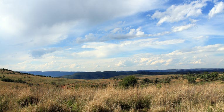 How South Africa’s ‘Cradle of Humankind’ got the title