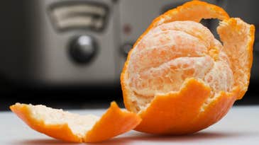 Clementines: A Yummy Result of Genetic Experimentation