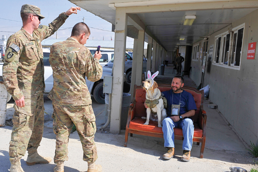 Chief clinician at the Freedom Restoration Center at Bagram Airfield, the first military mental-health clinic in Afghanistan, is Major Timmy, the therapy dog.