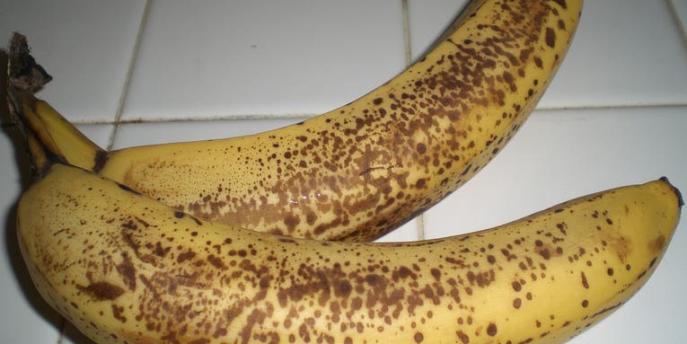 Keep Your Bananas Ripe by Spraying Them With Recycled Shrimp Shells