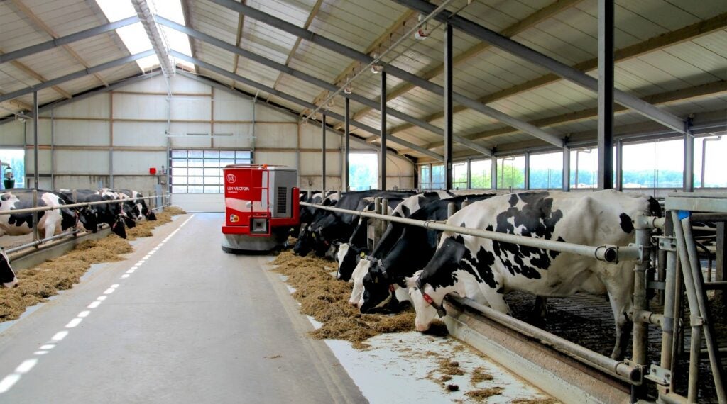 Dairy farm.
