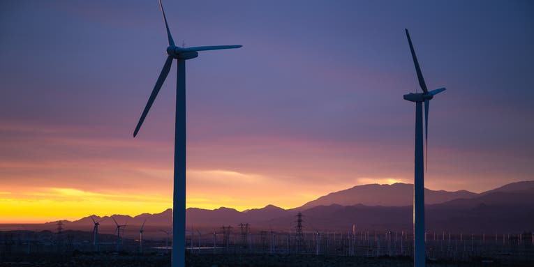 Desert critters avoid noisy wind farm turbines