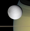 This friendly fellow is Dione, one of the several moons of Saturn that scientists believe may house a subsurface sea. Scientists colored this image to approximate what it would look like to the human eye. <a href="https://www.popsci.com/science/article/2013-06/saturns-moon-dione-may-have-underground-ocean/">Learn more about water on Dione</a>.