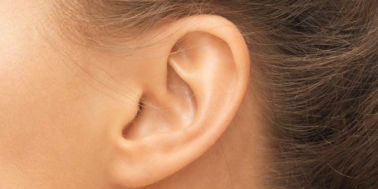 Everything your biology teacher told you about earlobes is wrong