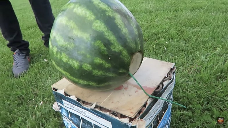Watch A Mortar Blow Up A Watermelon