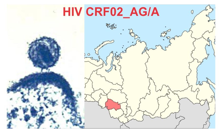 The Startling Surge of the Siberian HIV Strain