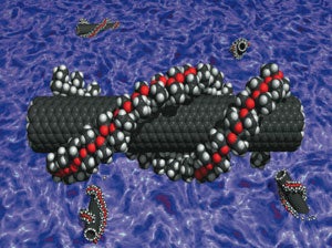 Carbon Nanotubes May Present a Cancer Risk