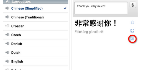 Google Translate Hits the iPhone App Store