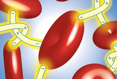 illustrated red blood cells connected with a positively charged chain