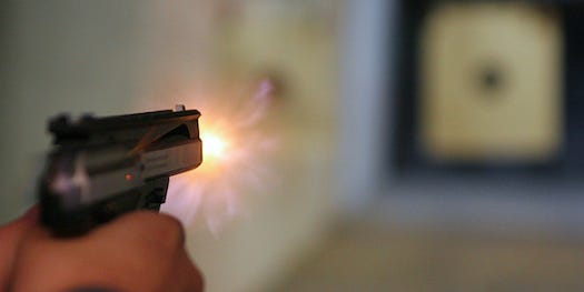 A Pollen Coating Could Help Identify Who Fired a Bullet