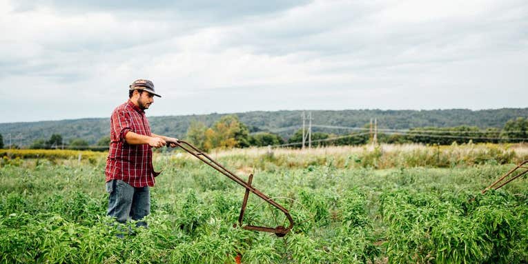 Small farmers are mixing old equipment with new tech