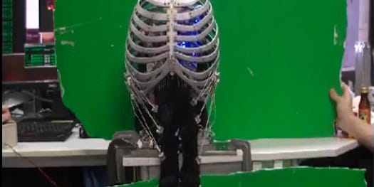 A Humanoid Robot With Lifelike Bones And Muscles