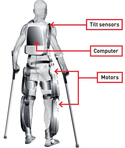 The user plants the crutches out front and leans forward. A sensor registers the motion, and the computer instructs motors in the hip and knee of one leg to swing it forward