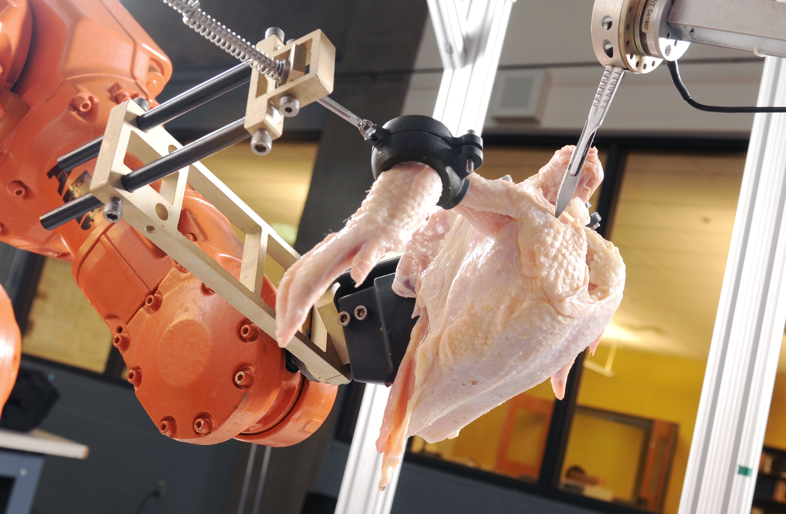 PopSci Q&A: A Robot Masters the Art of Chicken Deboning